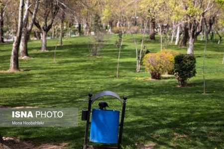 آمادگی بوستان های منطقه 12 تهران برای میزبانی از شهروندان در روز طبیعت