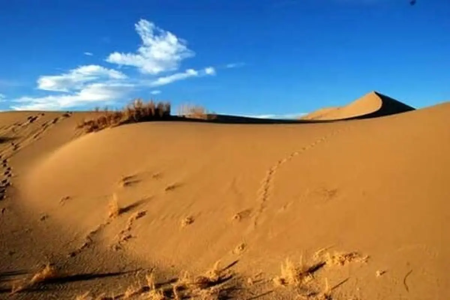 زنگ خطر بیابان زایی گلستان به صدا درآمده است