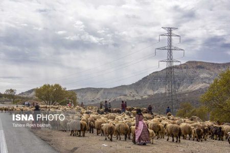 ورود بی ضابطه گردشگران در مناطق عشایری ممنوع/ استقرار سامانه‌های خورشیدی برای عشایر