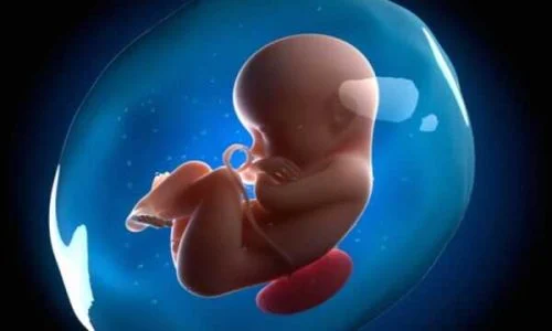 سکسکه جنین چه علتی دارد؟