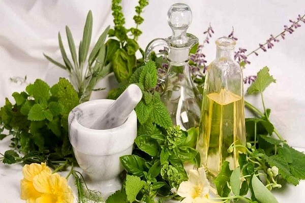 گیاه خشکی دهان، التهاب لثه، زخم دهان را با این گیاهان درمان کنید