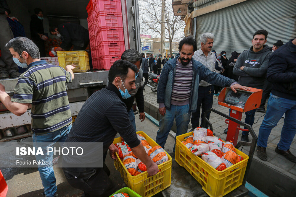 تهران افزایش چشمگیر عرضه مرغ به بازارهای تهران و سایر استانها